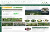 Rubber-Based Agroforestry System in South China: Gaining … · Kadoorie Conservation China, Kadoorie Farm and Botanic Garden, Hong Kong SAR, China Rubber Analogue Agroforestry System
