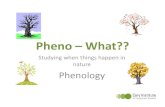 Lesson 5 - Phenology presentation revised - draft · daffodils coming up 45 67 8967 ... Microsoft PowerPoint - Lesson 5 - Phenology presentation_revised - draft Author: rubboj Created