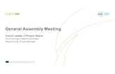 General Assembly Meeting - BrightnESS² · General Assembly Meeting Overall update of Project Status Roy Pennings, Project Coordinator Raquel Costa, Project Manager ... have its mid-term