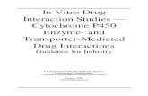 In Vitro Drug Interaction Studies — Cytochrome P450 Enzyme ... · factors influencing drug disposition to elucidate potential DDI mechanisms and to yield kinetic parameters for