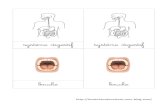 système digestif -  · PDF file

2019. 8. 30. · système digestif bouche système digestif bouche  . om