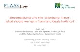 Sleeping giants and the ‘wasteland’ thesis: what should we ... · PDF file The ‘wasteland’ or ‘vacant land’ thesis • The view that African land is unused or under-utilised