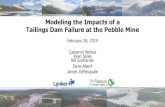 Modeling the Impacts of a Tailings Dam Failure at the ... · 4/2/2019  · PLP’s Proposed tailings dam uses inferior design “Dams designed with downstream construcon methods are