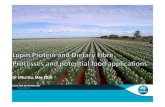 protein and dietary fibre fractionation and for food ... · Lupin protein and dietary fibre fractionation processes and potential for food applications| L Liu • Australian lupins