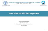 Overview of Risk Management€¦ · Overview of Risk Management Definition - Risk management is «The process, distinct from risk assessment, of weighing policy alternatives, in consultation