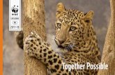 Together Possible - WWF-Indiaawsassets.wwfindia.org/downloads/WWF-India_2017-18_cat_online.p… · FOR KIDS 31 RECYLED PENCILS 31 TOYS & GAMES 32 ART FOR CONSERVATION 34. CALENDARS