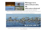 Wetlands Waterbird · To address these issues the Department of Environment and Natural Resources Negros Island Region (DENR NIR), the Philippines Biodiversity Conservation Foundation,