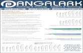 Untitled1 [] Blades.pdfPathology & 73823 5984 +61 DIAMANTINE M HIGH PERFORMANCE SCALPEL BLADES AND DISPOSABLE SCALPELS Histology - 7 3823 5971 DIAMANTINE-TM edge high performance blades