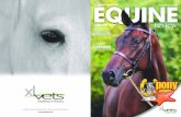 THEIR EFFECT ON HORSES - ...AUTUMN 2009 EXCELLENCE IN PRACTICE EQUINE PHYSIOTHERAPY THE CAUSES EXPLAINED THEIR EFFECT ON HORSES For further Equine Information, please contact your