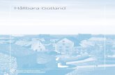 Hållbara Gotland - Regeringskansliet€¦ · Det som slutligen fick mig att välja titeln Hållbara Gotland var när jag bekantat mig med forskningsprogrammet Hållbara besök vid