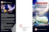 STRIKEGRID · STRIKEGRID® CEAF is a phosphoric acid anodized (PAA) continuous expanded aluminum foil (CEAF) ... Rev. 09/19. STRIKEGRID ... Class 2, Grade 013, Form B, Style F for