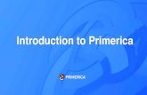 Introduction to Primericas22.q4cdn.com/.../Introduction-to-Primerica-YE2019.pdf · contractual agreement between Primerica Client Services, Inc., Primerica Client Services Inc., PFSL