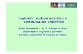 Legionella: ecologia microbica e contaminazione ambientale · Legionella: ecologia La conoscenza dell’ecologia microbica aiuta a capire cosa favorisce la sopravvivenza e la crescita