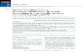 176 Spinal anesthesia plus ketamine-midazolam sedation for ...€¦ · Anaesthesia and Intensive Care Unit, Ospedale “G.B. Morgagni-Pierantoni” Viale Forlanini, 34 - 47100 Forlì,