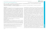 An in vitro model of hemogenic endothelium commitment and ... · endothelium commitment from non-hemogenic ECs and the cellular and molecular changes that occur during EHT. The pre-somitic