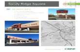 FOR LEASE Sandy Ridge Square - LoopNet€¦ · Sandy Ridge Square FOR LEASE PROPERTY INFO + Bi-Lo anchored shopping center + ±3,600 SF available; will subdivide to ±1,800 SF + Multiple