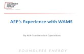 AEP’s Experience with WAMSs Experience with … · 138kV and Below: Customized alarm settings for every substation ... •Real Time Monitoring 1. E-PhasorPoint customized views