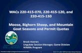 WACs 220-415-070, 220-415-120, and 220-415-130 …Bighorn Sheep Seasons and Permit Quotas WAC 220-415-120 • Added language that clarifies the bag limit is one bighorn sheep, even