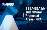 SEEA-EEA Mx and Natural Protected Areas (NPA) · 2019. 7. 3. · SEEA-EEA Mx and Natural Protected Areas (NPA) •As part of the implementation of the SEEA EEA-Mx, a specific exercise