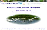 Engaging with Nature...Fill in the Wetland Birds Records Sheet as you go Note any birds you see and tally them on the record sheet as you see them. You may wish to investigate what