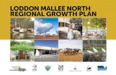 LODDON MALLEE NORTH REGIONAL GROWTH PLAN · 11.1 Building on economic strengths 21 11.2 Agriculture 24 12. Environment and heritage 26 12.1 Environmental and heritage assets 28 12.2
