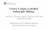 Vertex Unique Labelled Subgraph Miningfrans/PostScriptFiles/... · ai2013WenPresentation.ppsx Author: Frans Coenen Created Date: 1/6/2014 9:54:59 AM ...