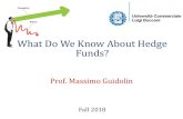 What Do We Know About Hedge Funds? - unibocconi.itdidattica.unibocconi.it/mypage/dwload.php?nomefile=...fund indices. The estimated co-dependence between the return on an individual