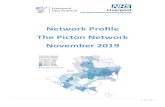 Network Profile The Picton Network November 2019 · 2019. 11. 25. · 2 | Page READER INFORMATION Title Network Profile – The Picton Network Team Liverpool CCG Business Intelligence