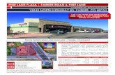 PINE LANE PLAZA | PARKER ROAD & PINE LANE · tenants including 20 Mile Tap House, State Farm, and a wide variety of national, regional and local retailers PROPERTY FEATURES DEMOGRAPHICS