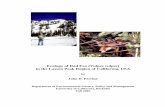 Ecology of Red Fox (Vulpes vulpes in the Lassen Peak Region of 2006. 7. 22.¢  Ecology of Red Fox (Vulpes