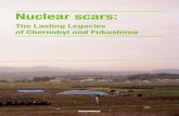 Nuclear scars - indiaenvironmentportal · NUCLEAR SCARS: THE LASTING LEGACIES OF CHERNOBYL AND FUUSHIMA Professor Valerii Kashparov, the Director of the Ukrainian Institute of Agricultural