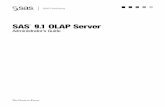 SAS 9.1 OLAP Server: Administrator's Guide · PDF file 2007. 10. 19. · SAS OLAP Cube Studio, which was developed using Java technology. OLAP queries are performed using the Multidimensional