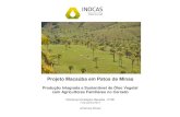 Projeto Macaúba em Patos de Minas - Home - CNPEMpages.cnpem.br/wectbe/wp-content/uploads/sites/83/2017/... · 2017. 6. 13. · Projeto Macaúba em Patos de Minas Produção Integrada