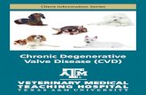 Chronic Degenerative Valve Disease (CVD) · 2018. 1. 29. · Who develops chronic degenerative valve disease? Chronic degenerative valve disease represents approximately 75% of all