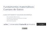 Fundamentos matemáticos: Cuerpos de Galoisocw.uc3m.es/ingenieria-informatica/criptografia-y...CURSO CRIPTOGRAFÍA Y SEGURIDAD INFORMÁTICA Fundamentos matemáticos: Cuerpos de Galois