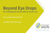 Beyond Eye Drops - Chemelot InSciTe · Dextenza (Ocular Therapeutix) ... – develop an ocular coil for sustained drug delivery – perform human safety and comfort trial – perform