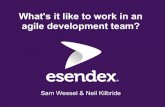What's it like to work in an agile development team?psznhn/G52GRP/LectureNotes/lecture06... · 2012. 1. 9. · The Esendex development team Agile team of 8 developers We use the latest