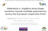Diabrotica virgifera virgifera LeConte wing shape …...Diabrotica v. virgifera wing shape variation reveals multiple populations across the European expansion front Darija Lemic1,