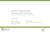 ULI EY Real Estate Consensus Forecastuli.org/.../ULI-EY-Real-Estate-Consensus-Forecast-October-2013.pdf · October 2013 Dean Schwanke Rick Sinkuler ... –Vacancy rates and rents