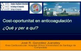Cost-oportunitat en anticoagulación ¿Qué y per a quí?gestor.camfic.cat/Uploads/ITEM_1551_EBLOG_2270.pdf · ICD SCD-HeFT COMPANION. J.R.G. JUANATEY C.H.U.Santiago Coste-efectividad