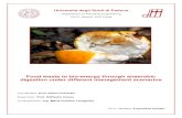 Food waste to bio-energy through anaerobic digestion under ...paduaresearch.cab.unipd.it/10733/1/Girotto_Francesca_tesi.pdfVENICE 2016 - 6th International Symposium on Energy from