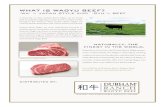 WHAT IS WAGYU BEEF? - SierraMeat.com · 2015. 11. 25. · American Wagyu, also known as American Style Kobe Beef, are a cross between full blood Japanese Wagyu and either Red or Black