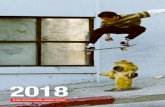 2018 - Globe International · and include: Madness Skateboards, enjoi skateboards, Dusters California, Almost Skateboards, Blind Skateboards, Darkstar skateboards and Tensor Trucks