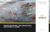 MAKING THE GRADE - HIGH GRADE GOLD DISCOVERIES IN …...The purpose of this presentation is to provide general corporate information about Amex’s activities current as of June 26,