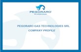 PEGORARO GAS TECHNOLOGIES SRL COMPANY PROFILE€¦ · Microsoft PowerPoint - COMPANY PROFILE ENG BREVE 2020[Compatibility Mode] Author: LucaPoncato Created Date: 7/6/2020 4:08:17