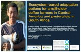 Ecosystem-based adaptation options for smallholder coffee ... · Or contact Camilla Donatti (cdonatti@conservation.org) Thank you! Title: Slide 1 Author: Camila Donatti Created Date: