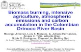 Biomass burning, intensive agriculture, atmospheric ... · The need for a global zero-carbon (C) roadmap Agriculture, forestry and other land use (AFOLU) greenhouse gas (GHG) sources