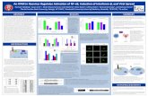 Co-author YP ABSTRACT M Syk P RESULTS NF SUMMARY B · An ITAM in Reovirus Regulates Activation of NF-κB, Induction of Interferon-β, and Viral SpreadRachael Stebbing1, Susan Irvin1*,