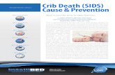 Crib Death (SIDS) INTELLIBED RESEARCH ARTICLE 6 Cause & · PDF file 2018. 7. 26. · Crib Death (SIDS) Cause & Prevention Now is not the time to take chances. ... BEST IN SUPPORT BEST