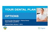 YOUR DENTAL PLAN OPTIONS · > Choose a licensed dentist and make an appointment. NOTE: If you select a Cigna Core Network dentist from our Provider Directory, you will typically spend